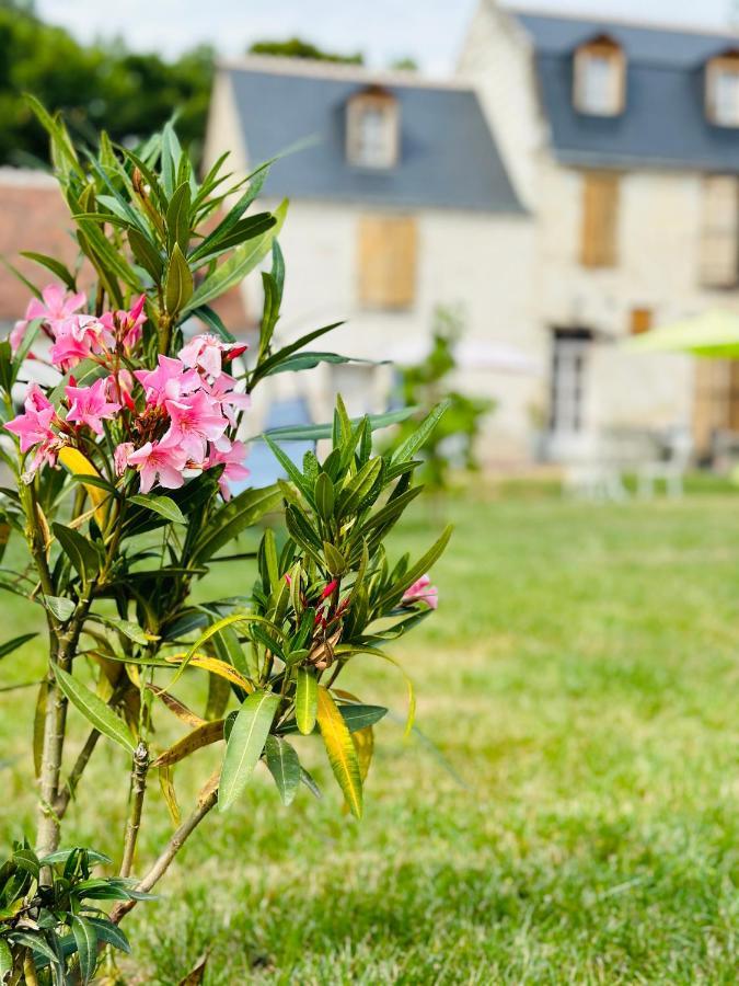 The Ronsardienne Suite In A Charming Mansion At The Gates Of Tours Saint-Avertin Exterior foto